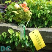 DSC02536