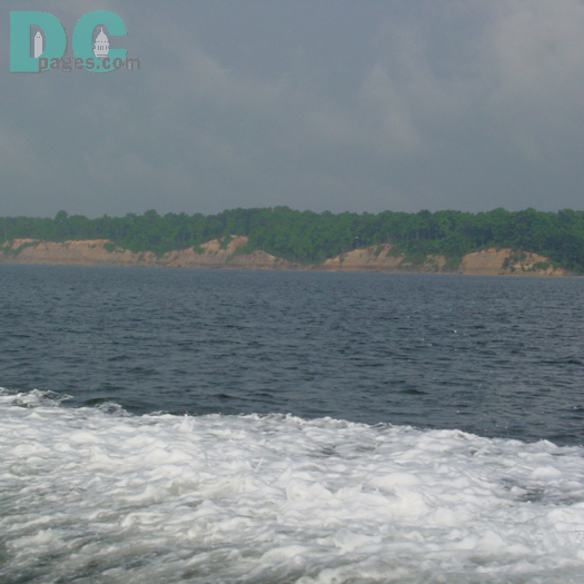 The cliffs which dominate the shoreline of the Chesapeake Bay for thirty miles in Calvert County, were formed over 15 million years ago when all of Southern Maryland was covered by a warm, shallow sea. Over 600 species of fossils have been identified from these cliffs, with the teeth of various species of shark as the most abundant fossils.