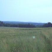 The crash site almost three years later. The site remains protected and visitors are not allowed to get closer than this point.