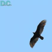DSC01447