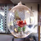 Pick up a souvenir or two at one of the Festivals many Gift Shops.  