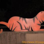 A sign post lets everyone know that you are entering tiger territory.