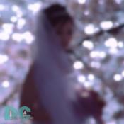 Monday, 9:20 am EST, April 11, 2005, Artistic, Sakura Veil