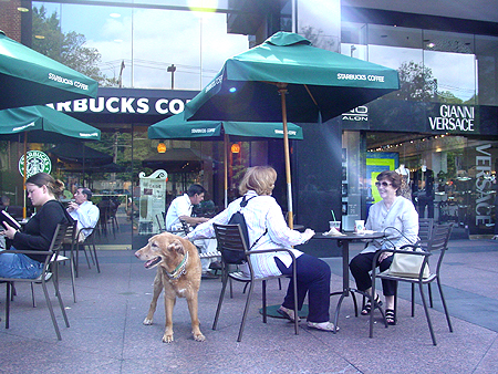 This popular coffee shop is located on 5454 Wisconsin Ave. in Chevy Chase.