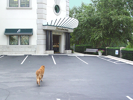Wiley heads over to see his good friends at Boone & Sons Jewelers.