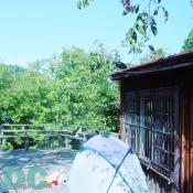 Offutt Island - A turkey vulture looks down on a tent on Offutt Island Nature Center observation deck. For information on Offutt Island please call 301.493-9273