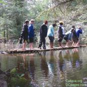 This trail in the Otter Creek Wilderness, was flooded on either side with a bridge in the middle of a pond! Hikers had to pass packs and remove boots.