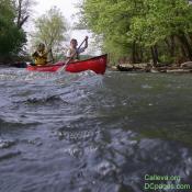 Keeping your boat straight is the hardest thing about paddling a canoe.