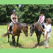 Riders feeling comfortable and building a bond with their horse.