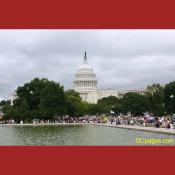 Southeast bank of Capitol Reflecting Pool