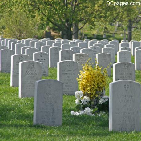 Arlington National Cemetery