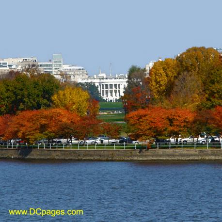 Fall in Washington DC