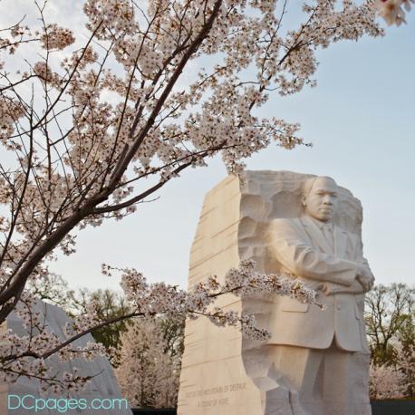 Martin Luther King Jr. National Memorial