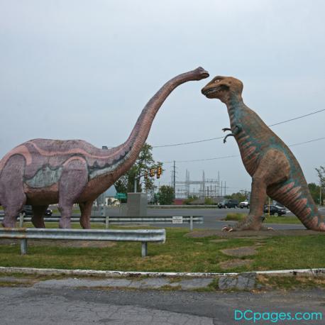 Dinosaur Land