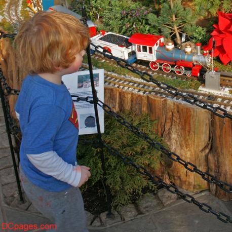 Brookside Gardens Winter Train Display