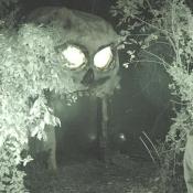 The entrance to Markoff's Haunted Forest:  going into the mouth of danger.  
