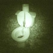 The Haunted Toilet...it will get you in the end.   