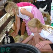 Two little girls have fun petting a gentle duck.