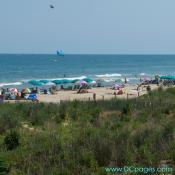 Ocean City - The Carousel Resort Hotel has undergone numerous changes within the past few year's such as adding these dunes.