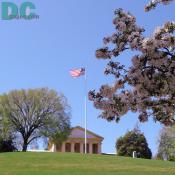 Cherry blossom view of Lee Mansion in Arlington Cemetary.