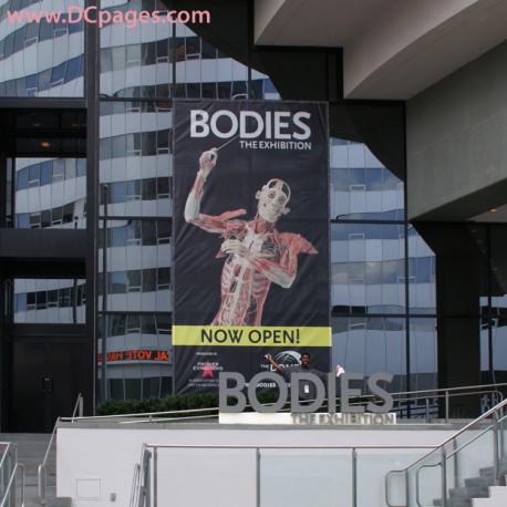 BODIES...The Exhibition