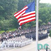 The U.S. Navy and U.S. Air Force come to a temporary halt on the street.