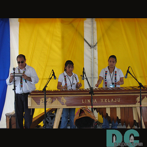 A band playing the xylophone as well as a harmonica on the Nuestra Musica stage.
