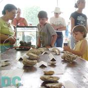 Kids learn about the advantages of having oysters in a fish tank, they will clean it!