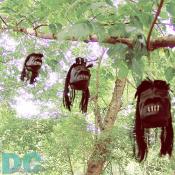 Shrunken heads filled the trees throughout the party. 