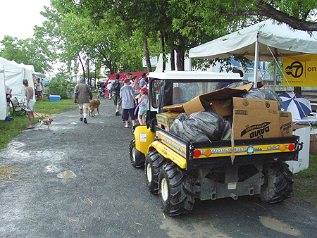 Navigating these carts is a challenge when the festival is crowded with people.