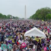 Over a million people gather on the National Mall to support reproductive rights during the March for Womens Lives.