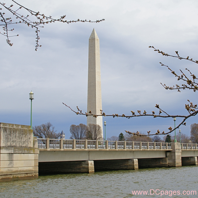 Tuesday, 10:45 am EST, March 18, 2008, Cherry Blossom View of the Washington Monument and Kutz Bridge.