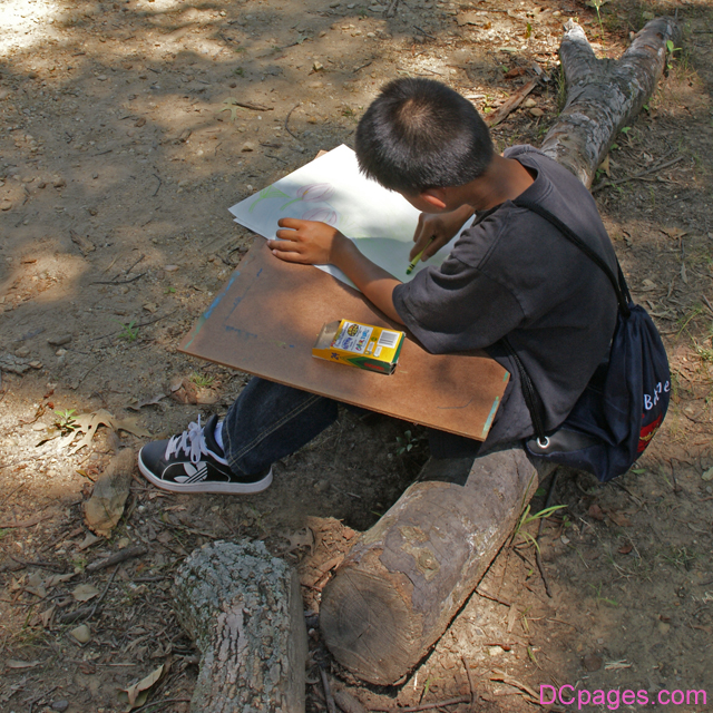 Child Drawing a Lotus Flower for Contest