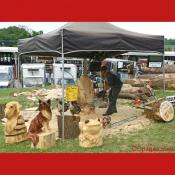 Chainsaw Show and Art Exhibit