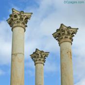 The National Arboretum - Capitol Columns Exhibit