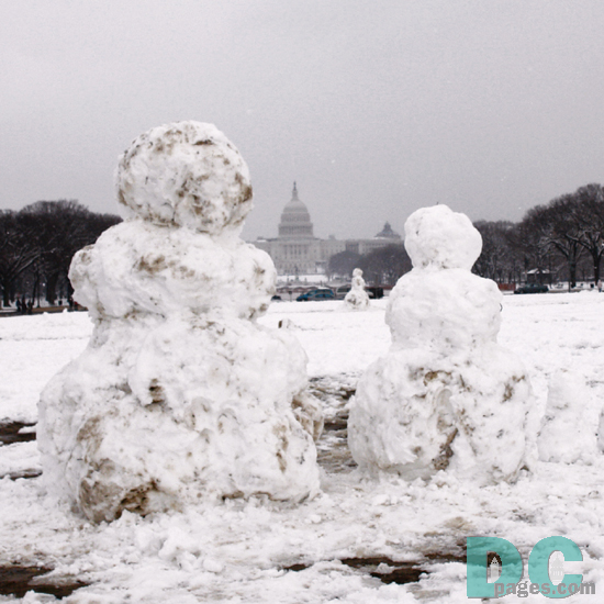 The Himalaya snow family, from Mount Everest had fun playing with Denali in the snow. "The National Mall is such a great place to play in.