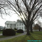 View of White House taken from North West Corner of estate.