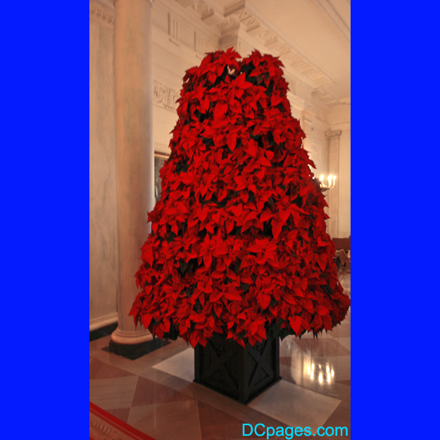 A tree sculpted from poinsettias located in Cross Hall. 