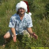 Jason with his baby tree. Santa's Forest Fresh Christmas Tree adoption plan comes with pictures of your baby, a yearly report, and an invitation to the farm and visit your tree by appointment request. 