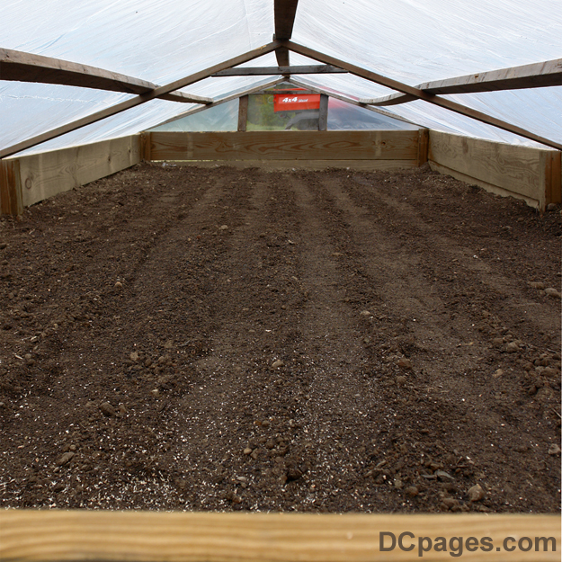 A quality built cold frame will give these Christmas Tree seeds an extra advantage with their germination and growth cycle. Tree seedlings are better protected from harsh winds, spores, disease, and harmful creatures that might hinder their growth. A good starting soil is kiln baked top soil mixed with a little manure.