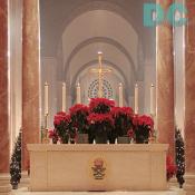 Main Sanctuary - Celebration Alter -Basilica of the National Shrine of the Immaculate Conception.