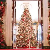 The Blue Room holds the official White House Christmas tree. This year artisans from each state and territory were asked to create ornaments representing birds from locale