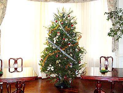 The main Christmas Tree at the Bulgarian Embassy