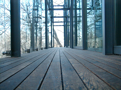 An ants' view of the walkways 
