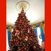 The official White House Christmas tree stands at 18 1/2 feet tall.