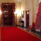 There were 251 bows and 245 wreaths throughout the main floor State Rooms.