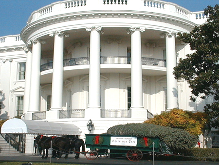 The tree made it to its final destination, the U.S White House, safely and soundly. 
