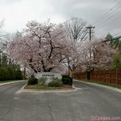 The entrance to the grand neighborhood of Kenwood, Maryland
