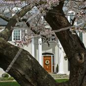 Colonial Kenwood home