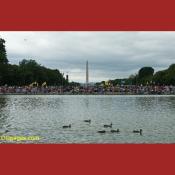 Tea Party Protesters Surround Capitol Reflecting Pool